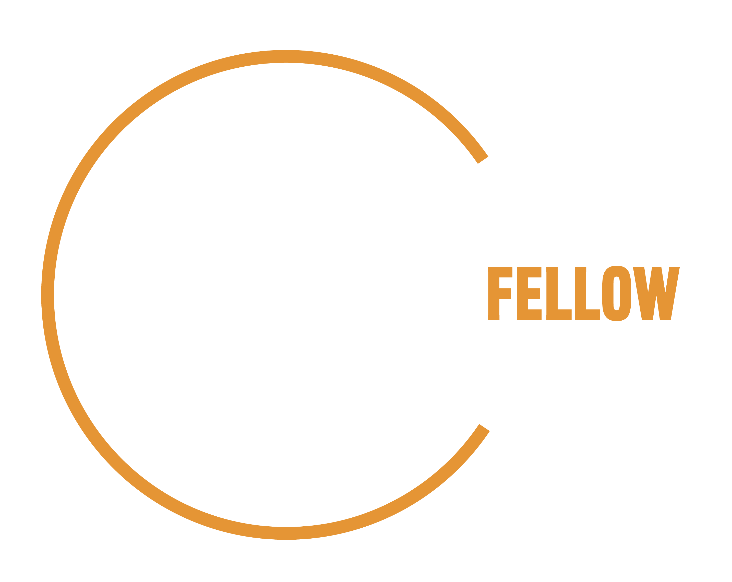 ISM Fellow