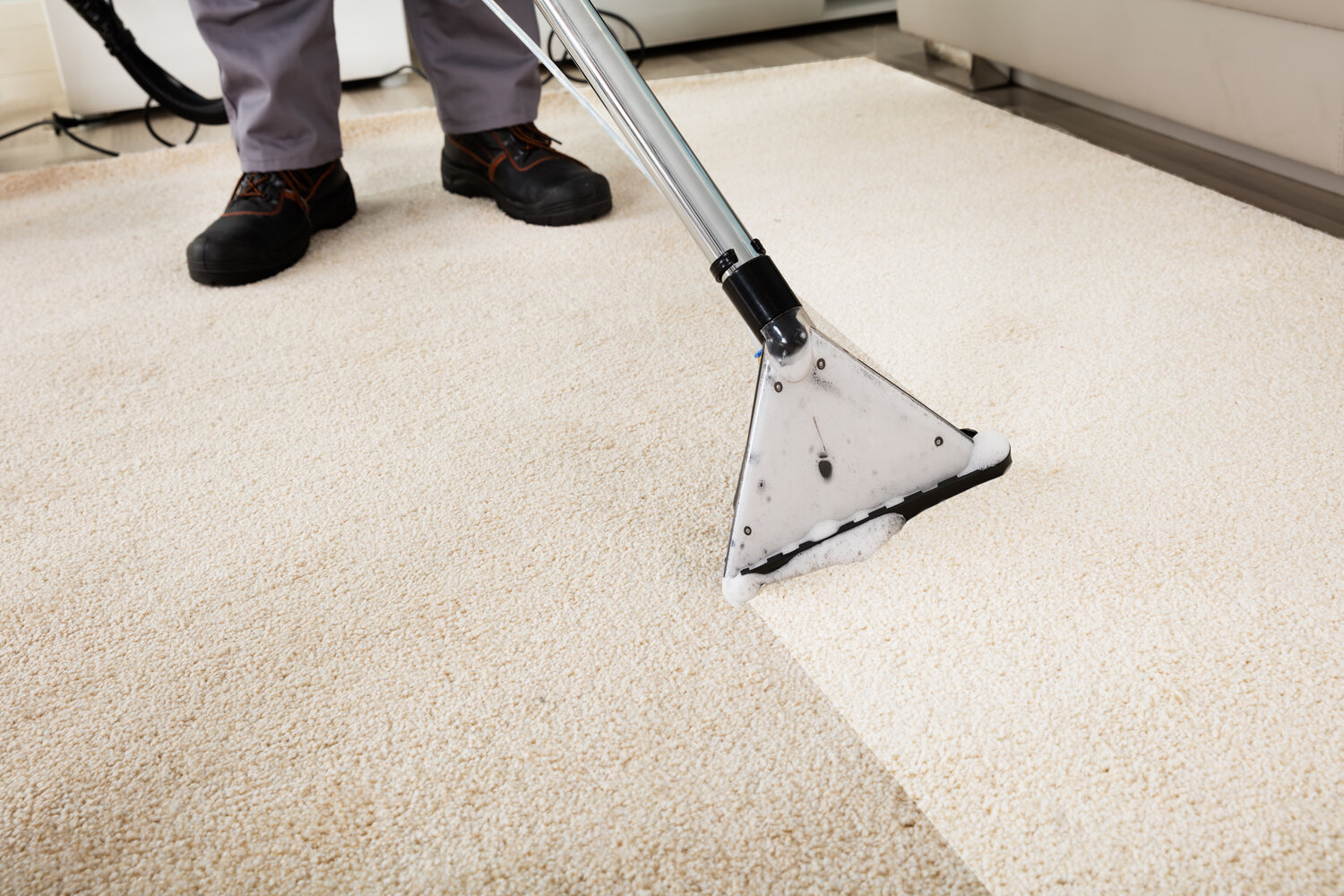 Professional Carpet Cleaning: A Wise Investment for Healthier Living