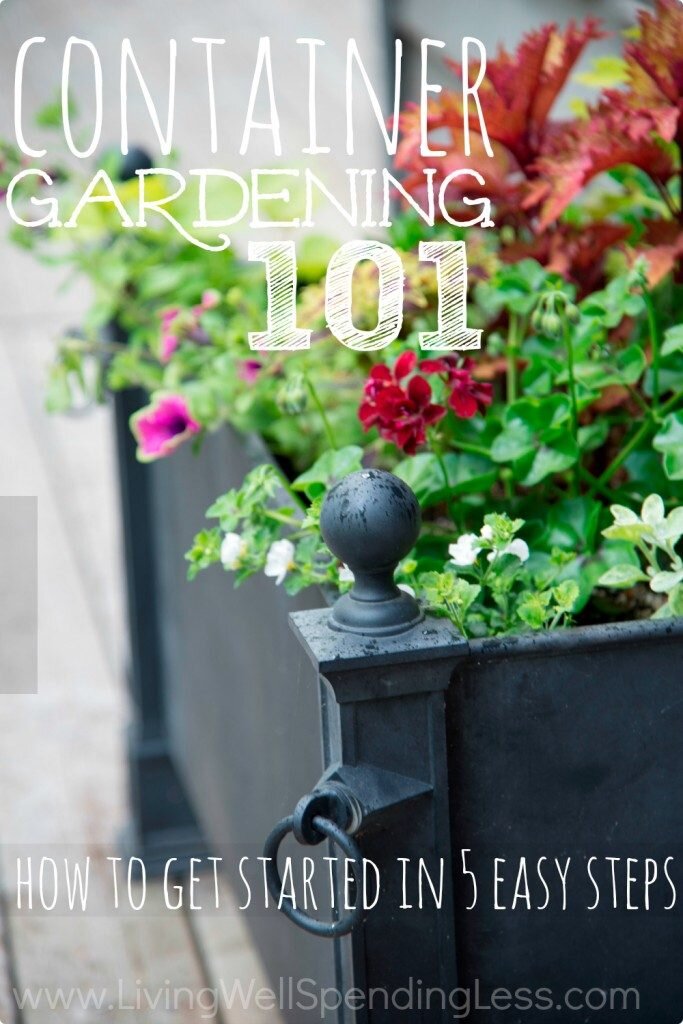 Container gardening couldn't be easier with these tips for beginners.
