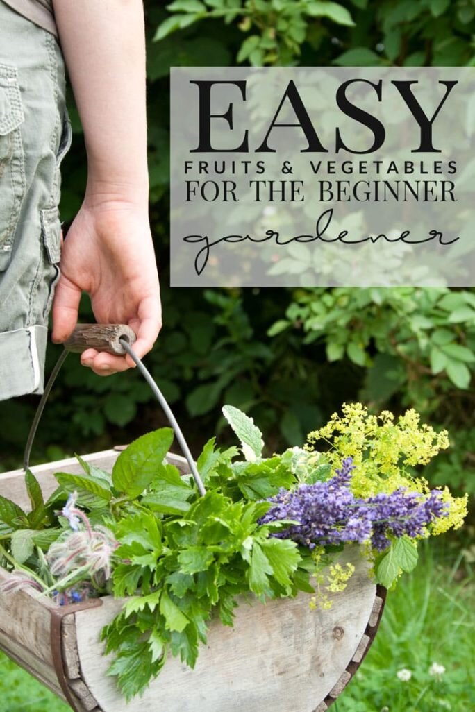 Grow these fruits and veggies if you're a beginner!