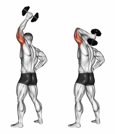 Standing One Arm Overhead Dumbbell Triceps Extensions — BETTER BODY ACADEMY