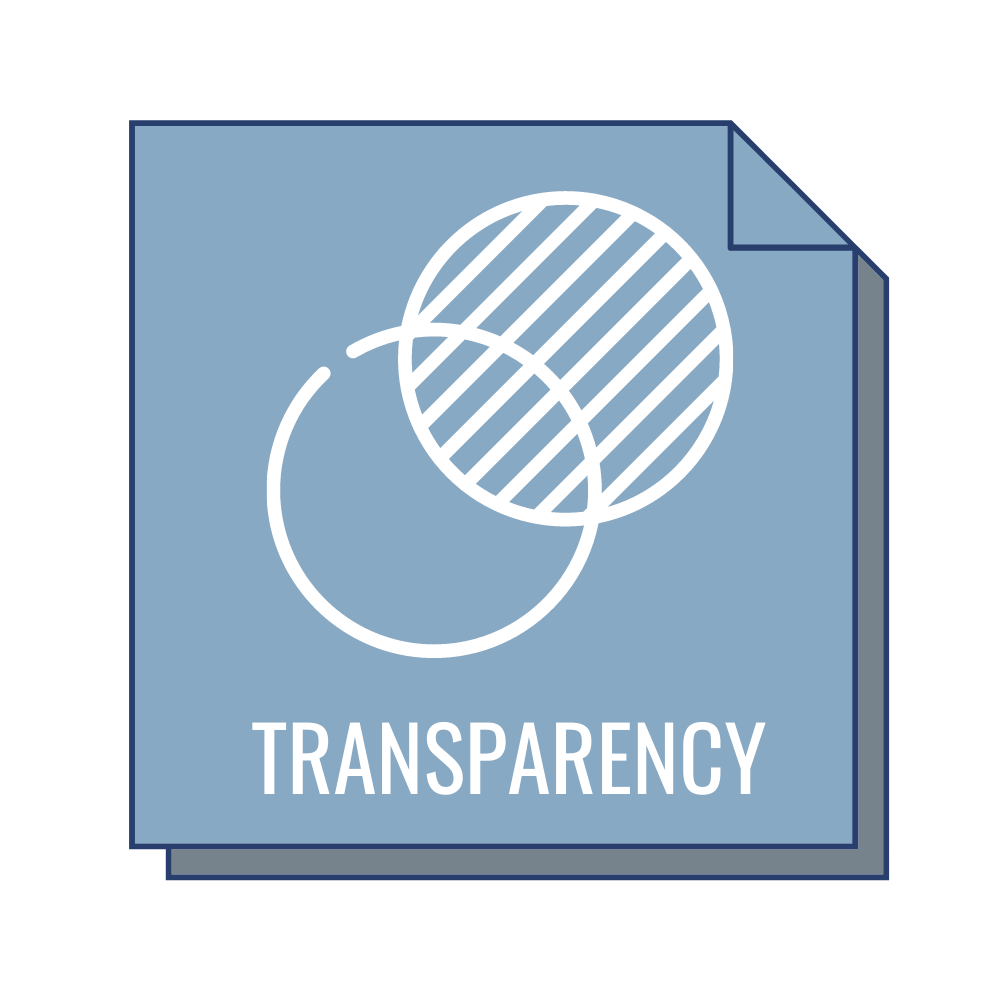 Our Strategy: Transparency