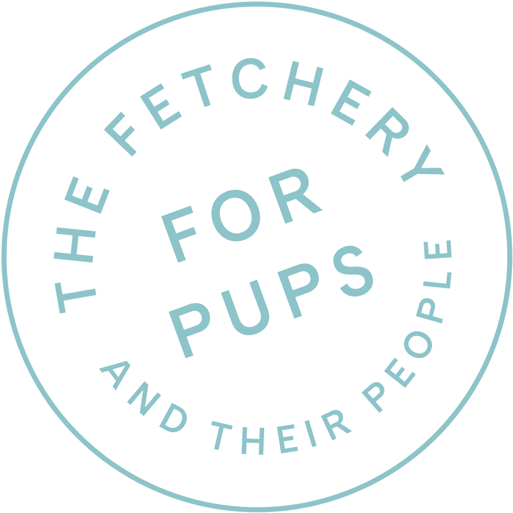 The Fetchery