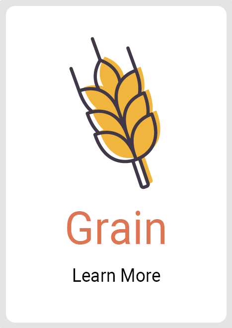 Whole Grain Image