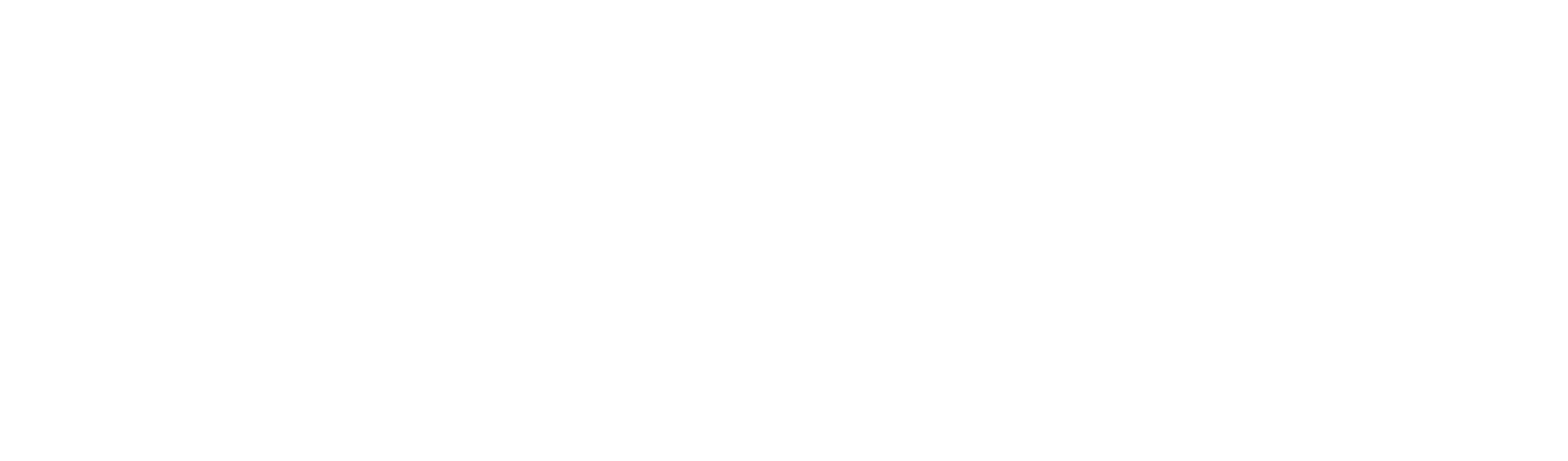 Ruthzee for Boston City Council at-Large