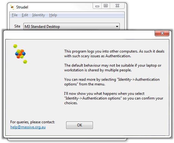 Screenshot of Strudel Desktop security options modal
