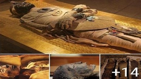 Archaeologists were alarmed by a sinful mummy’s head discovered in an ...