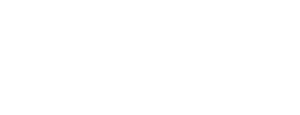 logo El Veinte