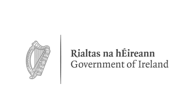 irish goverment
