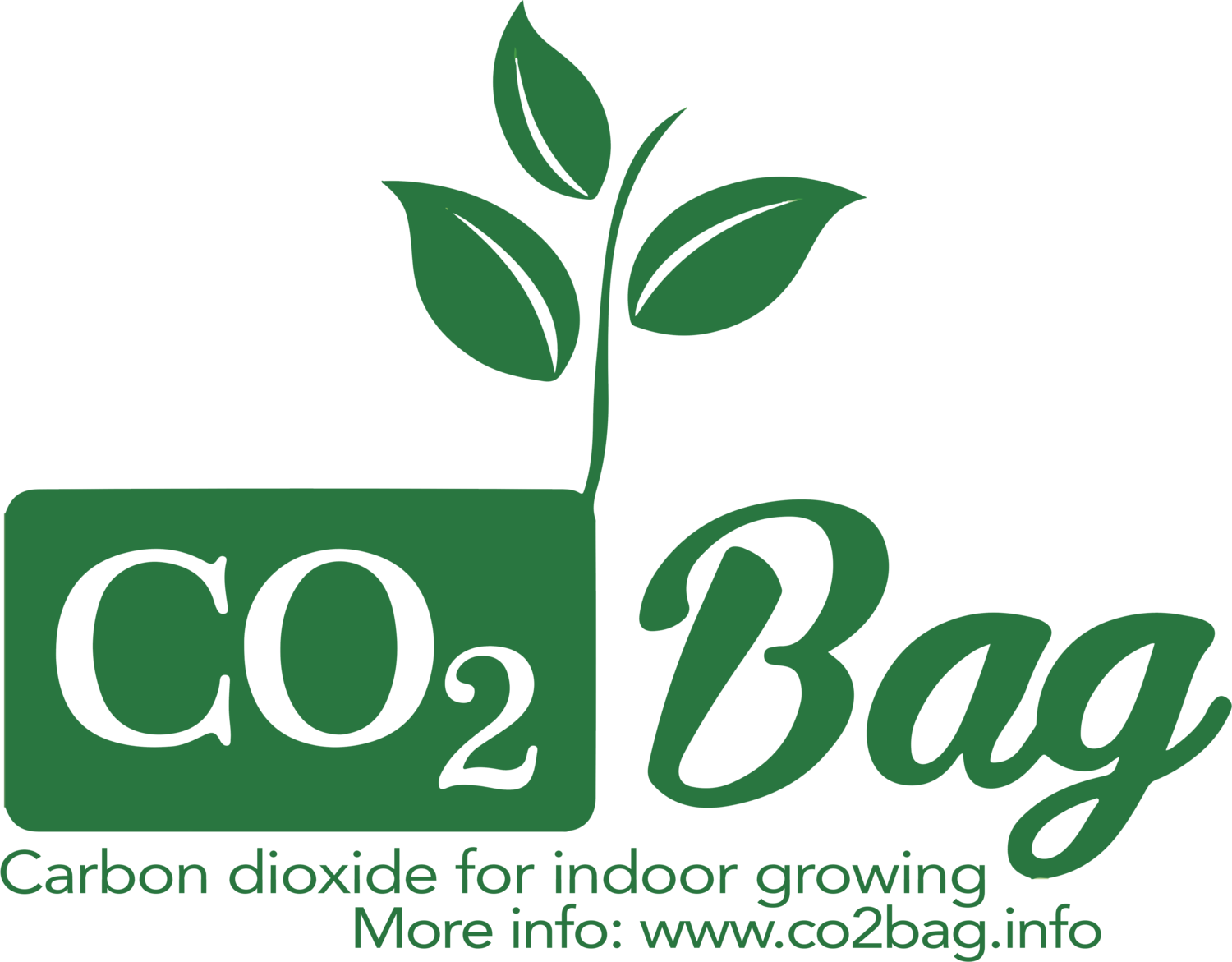 Original CO2Bag