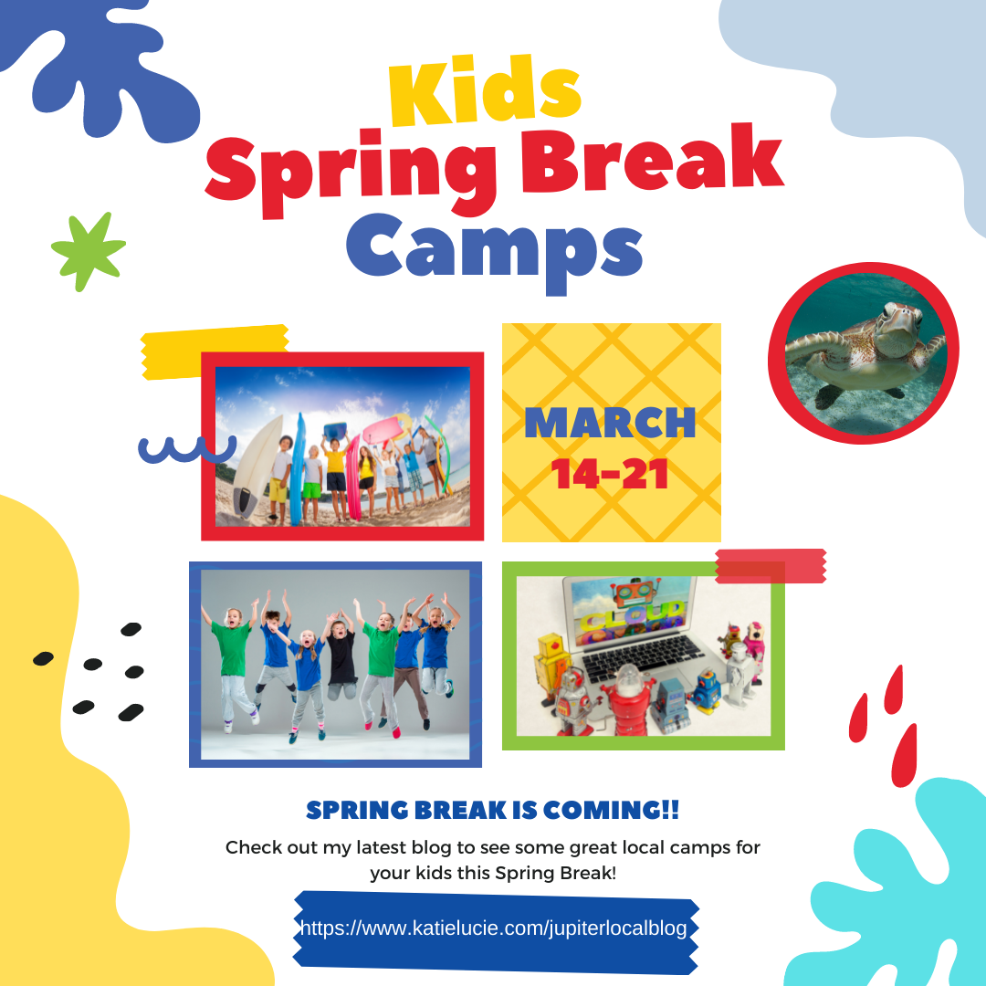 Spring Break Camp Guide: Palm Beach County Spring Break 2022 — Katie ...