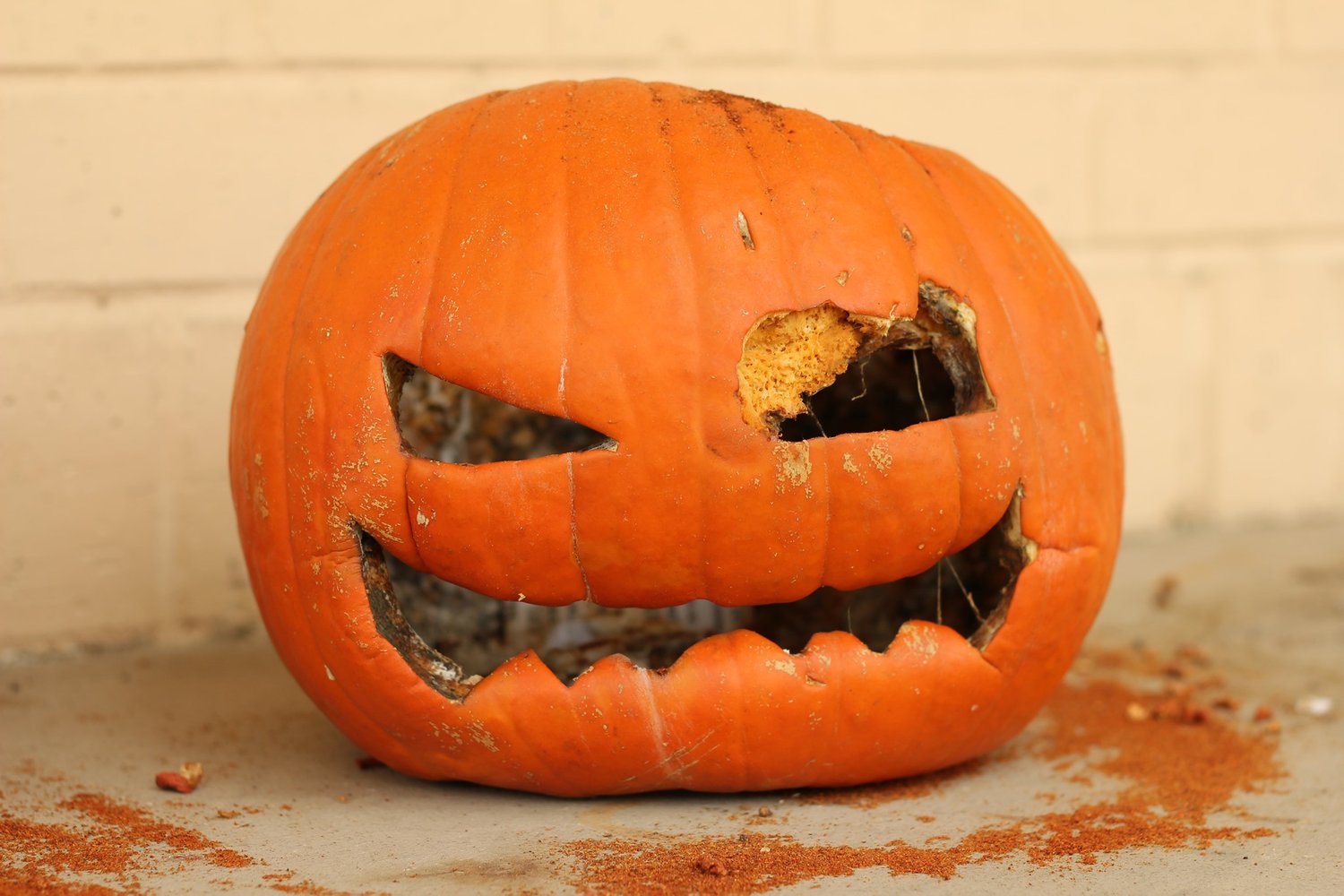 The SCARY Truth About Pumpkin Waste — Keep Austin Fed