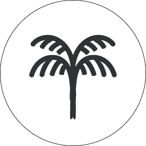 Be You Palm Tree Symbol