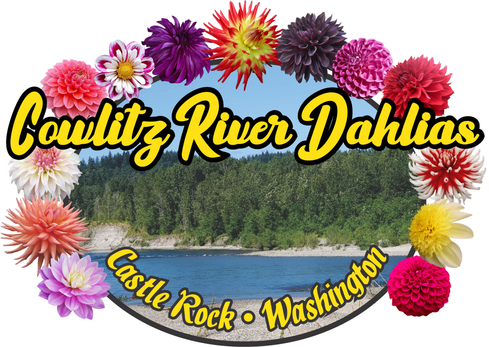 Dahlia Form & Size Description — Cowlitz River Dahlias