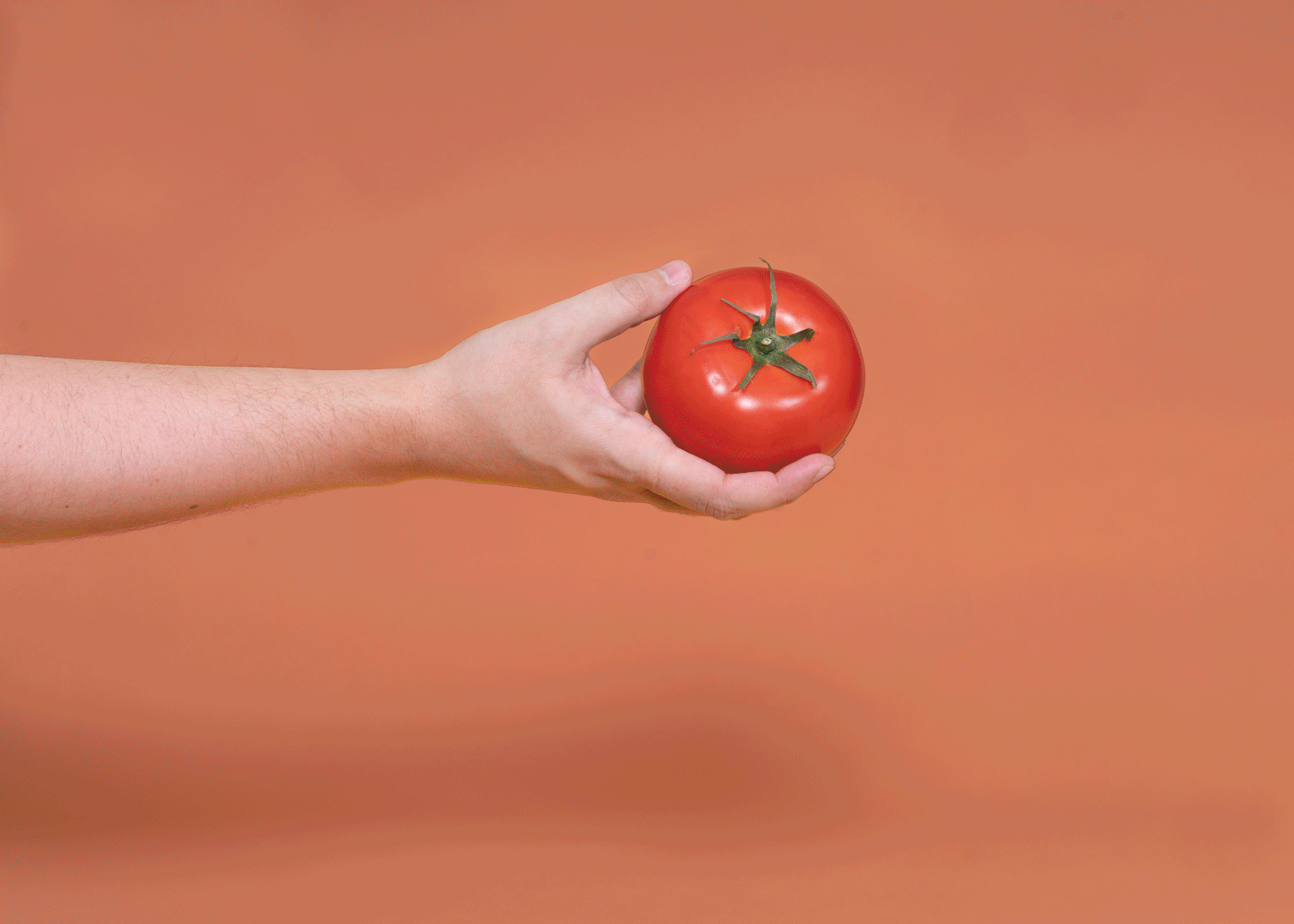 “tomato”