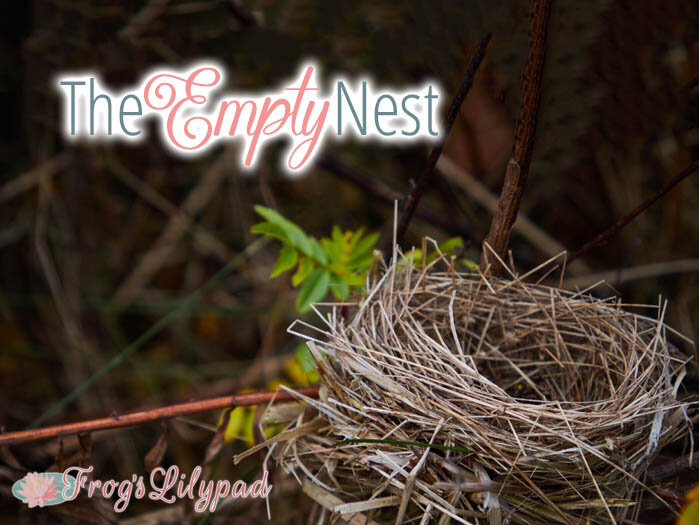 The Empty Nest - A Little From My Journal