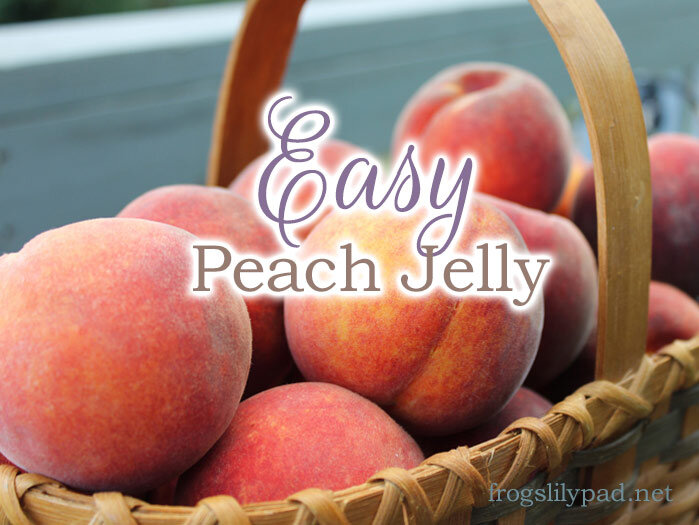 Peach season will be on us before you know it. What should you plan to make with peaches? Peach Jelly of course!