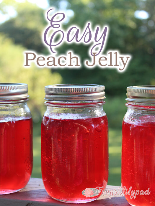 Peach season will be on us before you know it. What should you plan to make with peaches? Peach Jelly of course!