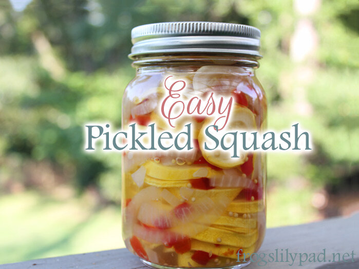 Easy Pickled Squash Recipe frogslilypad.net