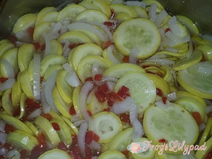 Easy Pickled Squash Recipe - frogslilypad.net