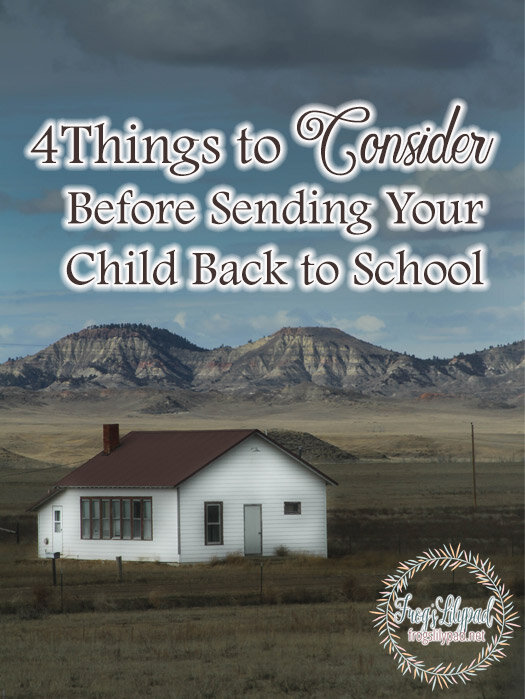 4 Things to Consider Before Sending Your Child Back to School.