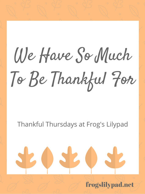 Frog's Lilypad: No matter where we are in life, we have so much to be thankful for. All it takes is a quick look around to find those things.