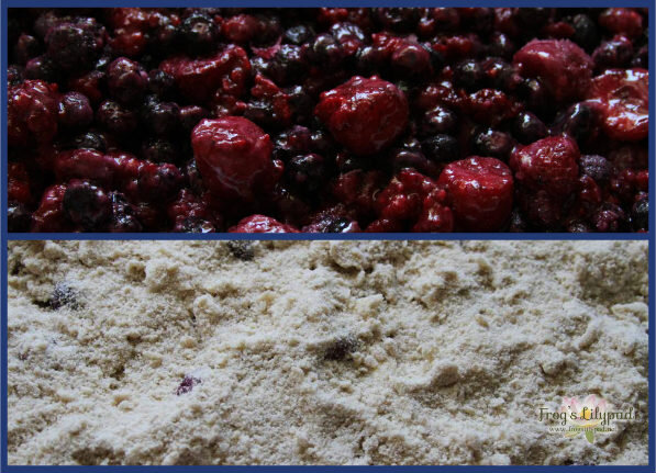 Mixed Berry Crumble is made with everything yummy! Don't have mixed berries? Use any fruit you have on hand - peaches and blueberries are perfect together. (Frog's Lilypad) frogslilypad.net