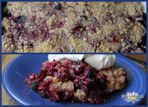 Mixed Berry Crumble is made with everything yummy! Don't have mixed berries? Use any fruit you have on hand - peaches and blueberries are perfect together. (Frog's Lilypad) frogslilypad.net