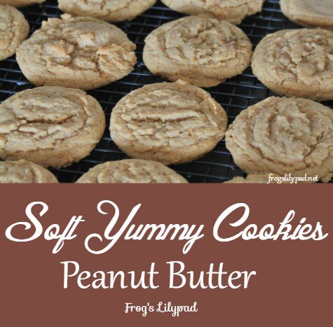 Fall in love with these Soft Peanut Butter Cookies recipe. You won't be disappointed and will know why my husband and son consider this the best recipe. frogslilypad.net