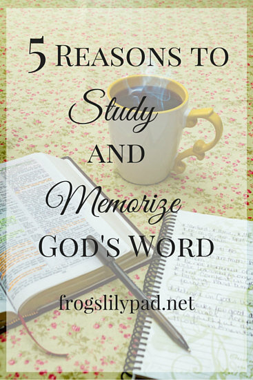 5 Reasons to Study and Memorize God's Word - Spending time in the Bible is IMPORTANT for any Christian. When we don't, we miss out on special talks with God. frogslilypad.net