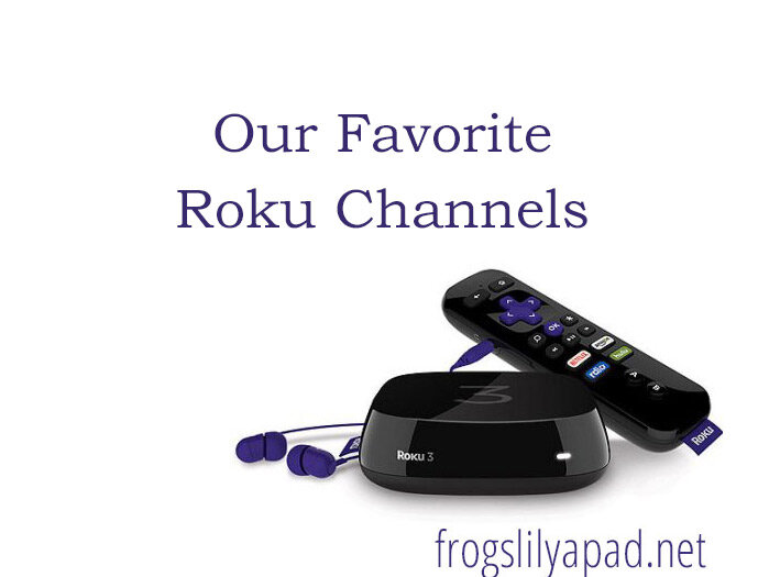 A Look at Our Favorite Roku Channels