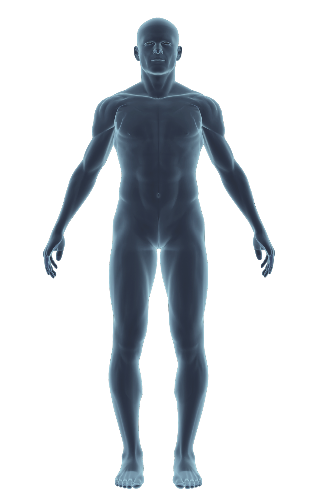 Body