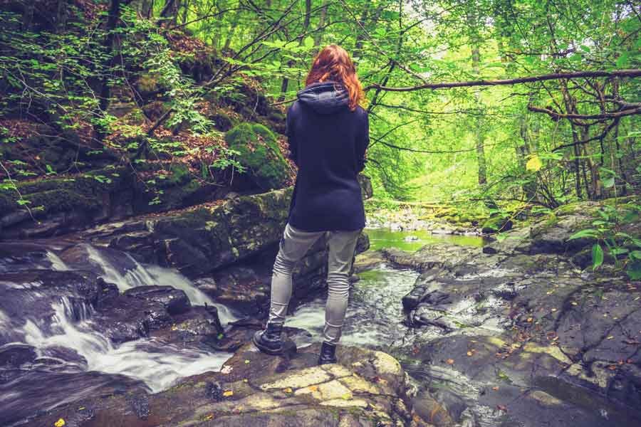 What is Nature Connection? — An Darach Forest Therapy