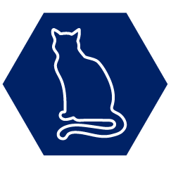 Cat Icon