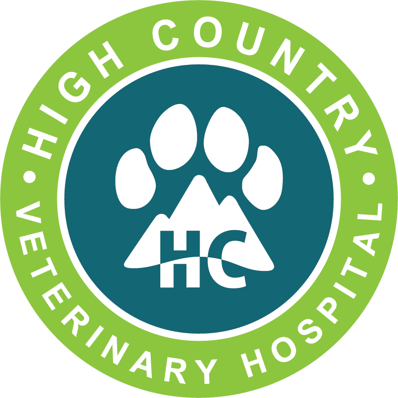 High Country Veterinary Hospital
