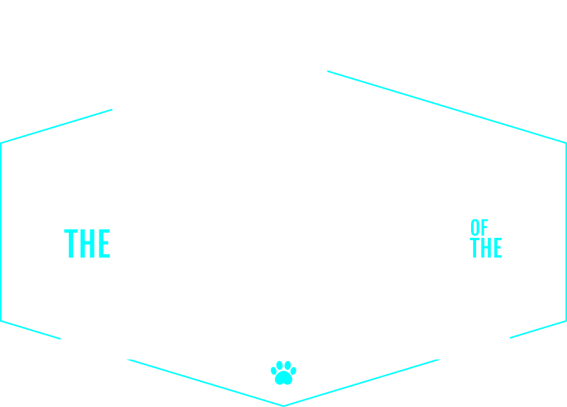 The Animal Hospital of the Highlands