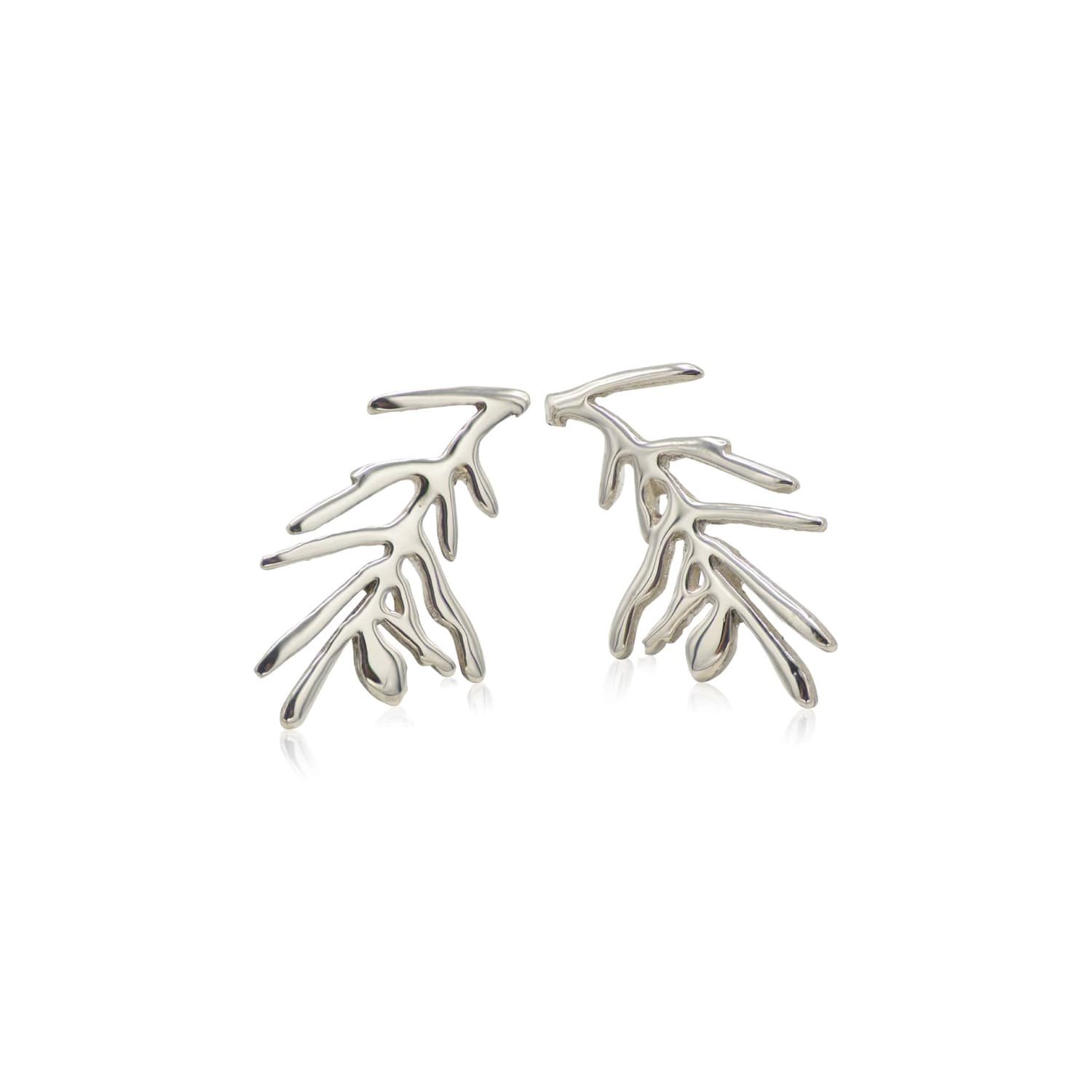 Hemlock Earrings | (Tsuga canadensis) — Shade Metals
