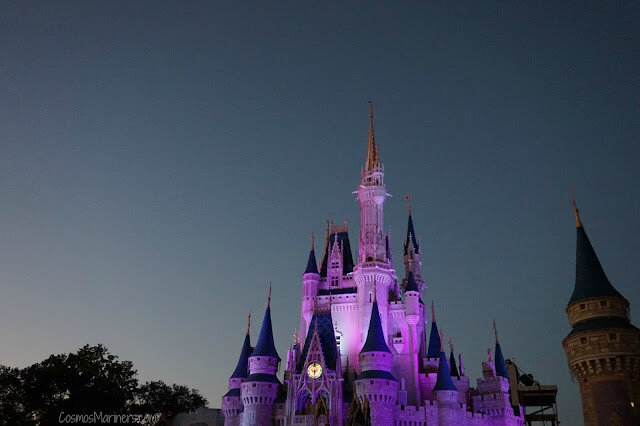 A Magical Birthday Surprise at Walt Disney World | CosmosMariners.com