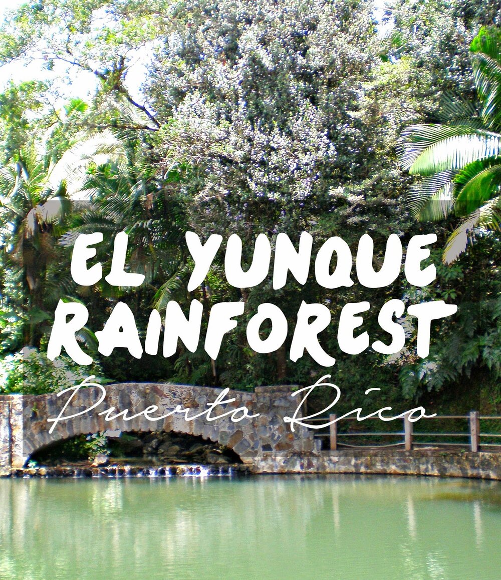 El Yunque Rainforest, Puerto Rico | CosmosMariners.com