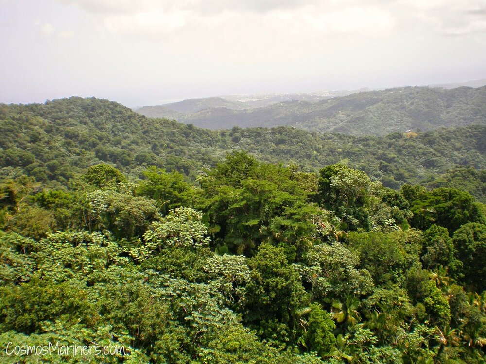 El Yunque Rainforest, Puerto Rico | CosmosMariners.com