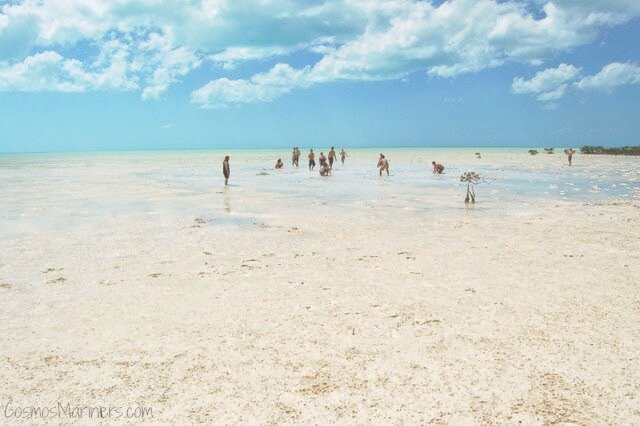Tidal Flats and Deserted Beaches, Andros Island, Bahamas | CosmosMariners.com