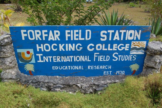 Forfar Field Station on Andros, Bahamas: A Complete Guide to Studying Abroad