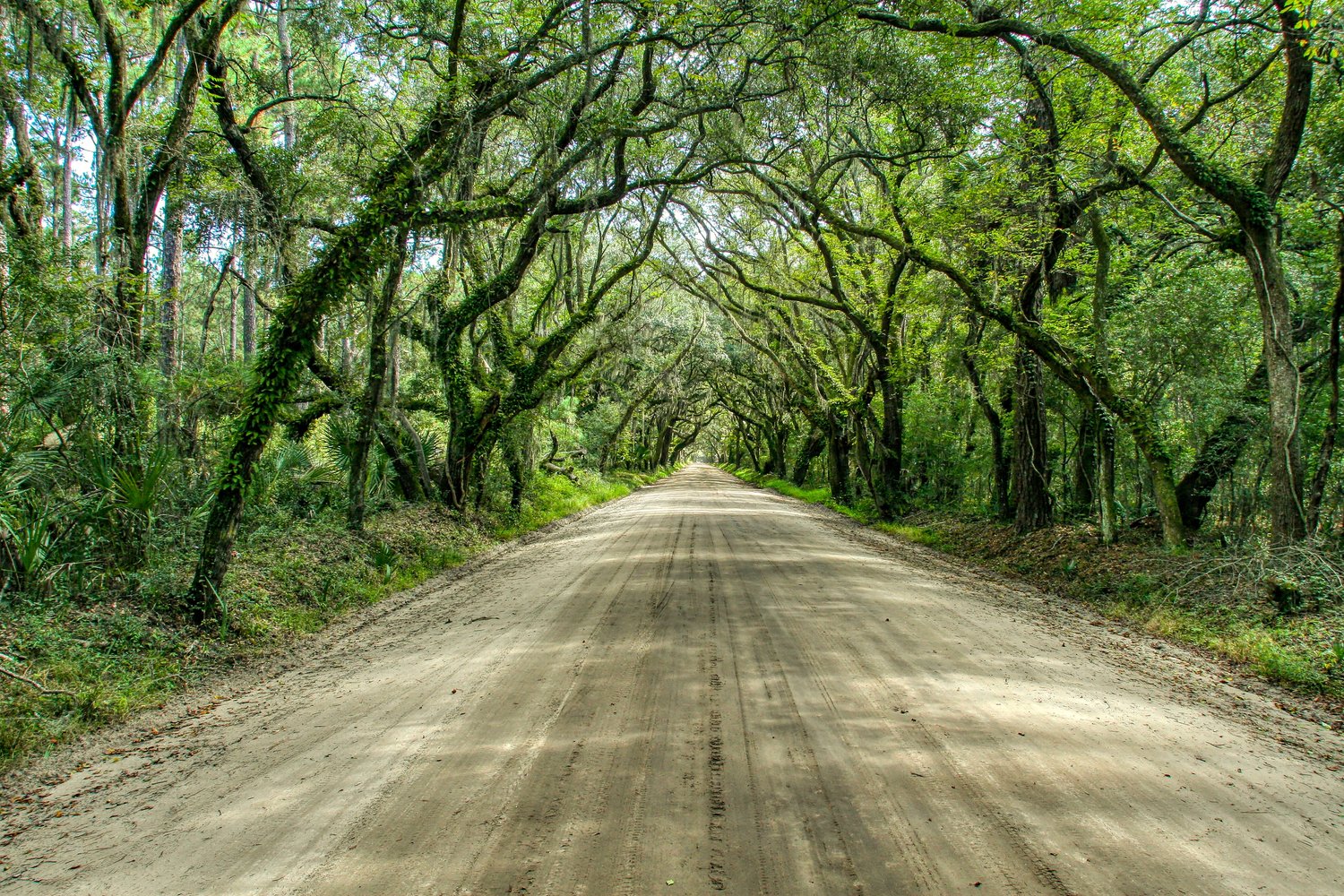 Best Things to Do in Edisto Island SC Besides Going to the Beach