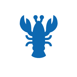 Icon graphic for Catch your own Western Rock Lobster