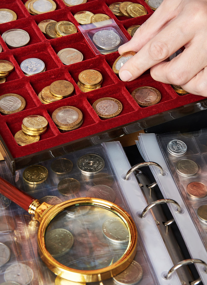 Person reviewing numismatic coins in a tray.