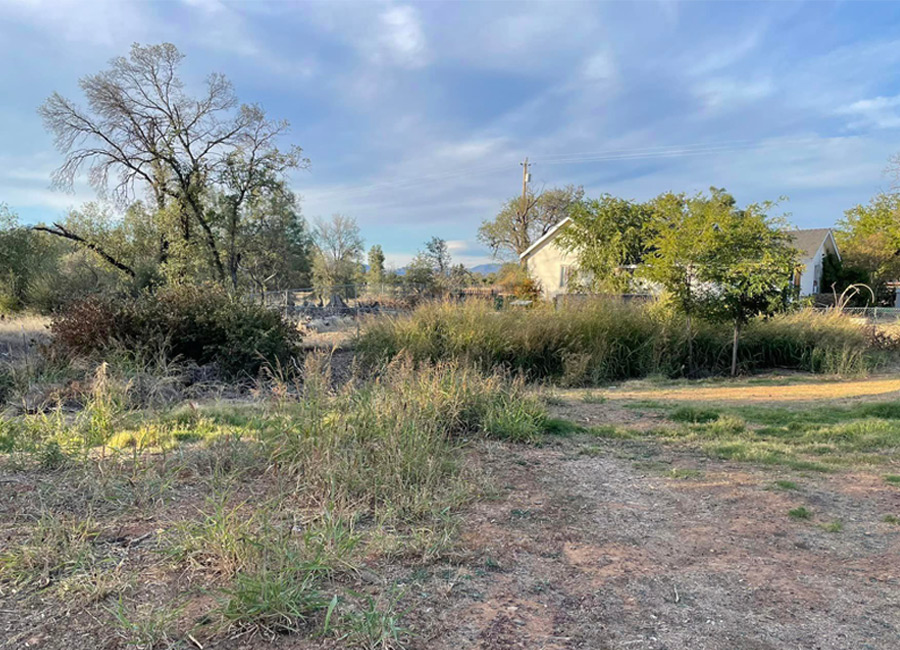 “vegetation-clearing-redding”