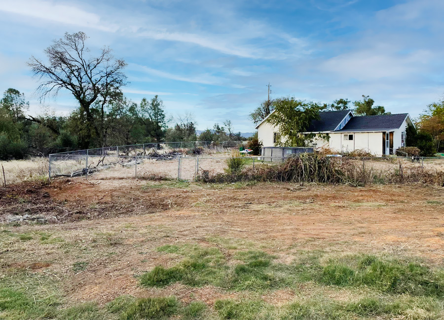 “vegetation-clearing-anderson”