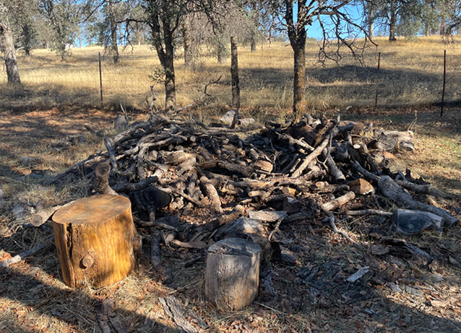 “defensible-land-clearing-redding”