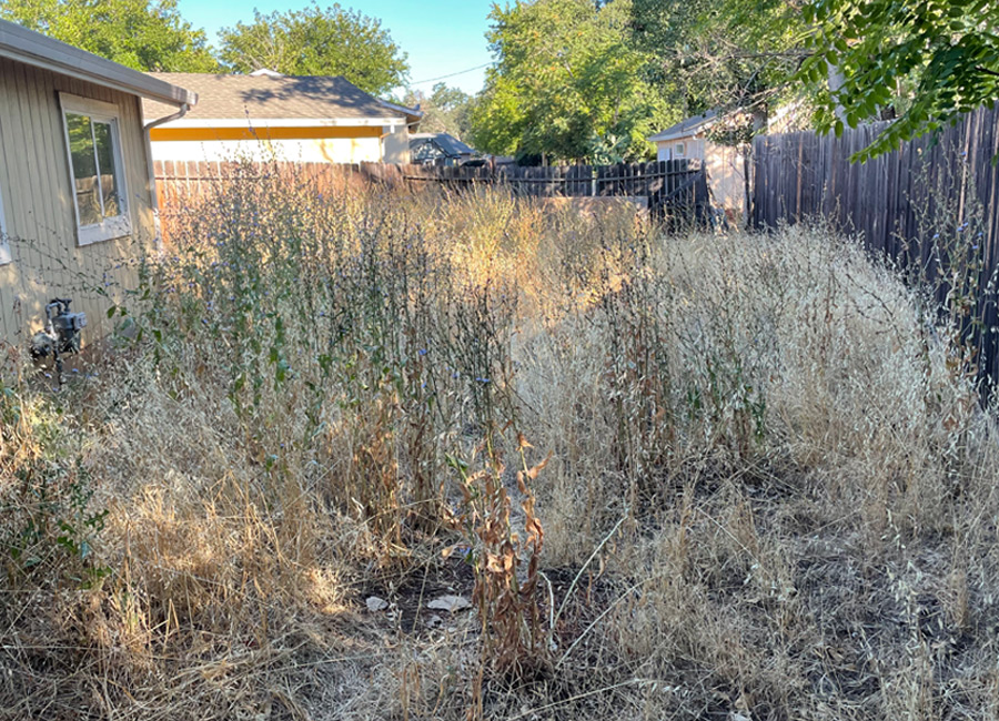 “tree-removal-redding”