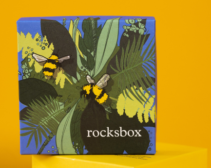 Rocksbox packaging illustration